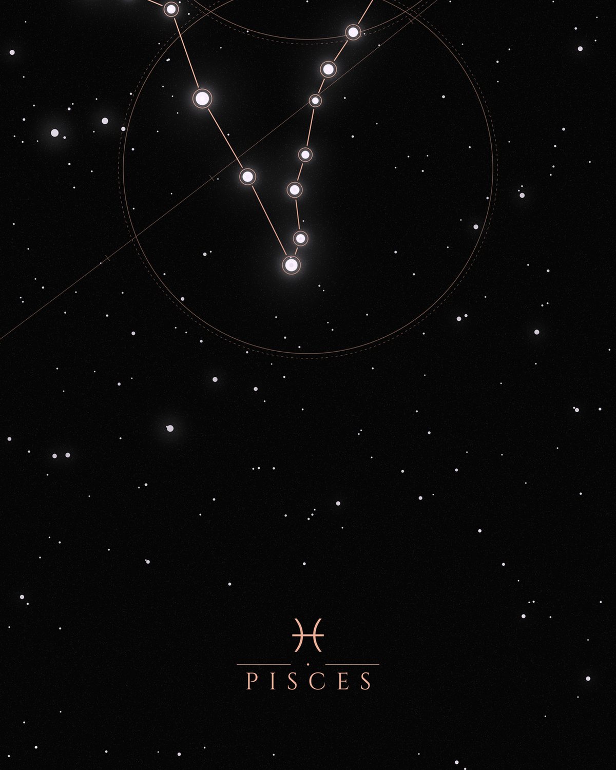 The Pisces design