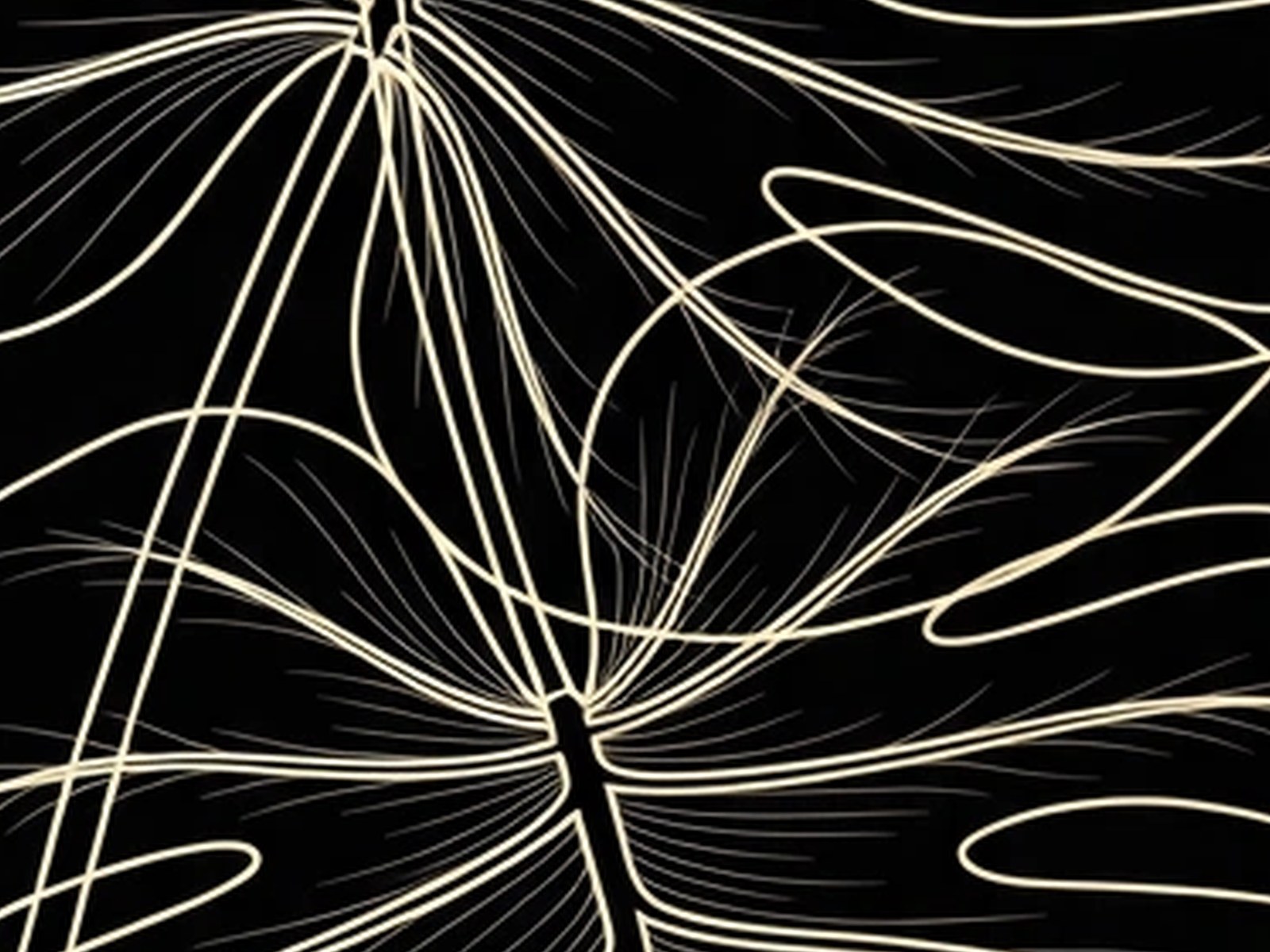 BLKMAT Monstera Leaf Veins yoga mat, close-up of the print detail
